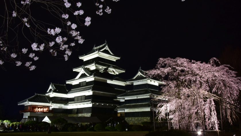 夜桜と松本城